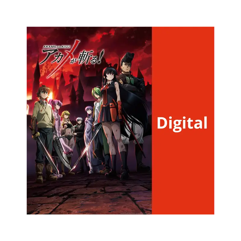 Akame ga Kill Season 1.1 (DIGITAL)