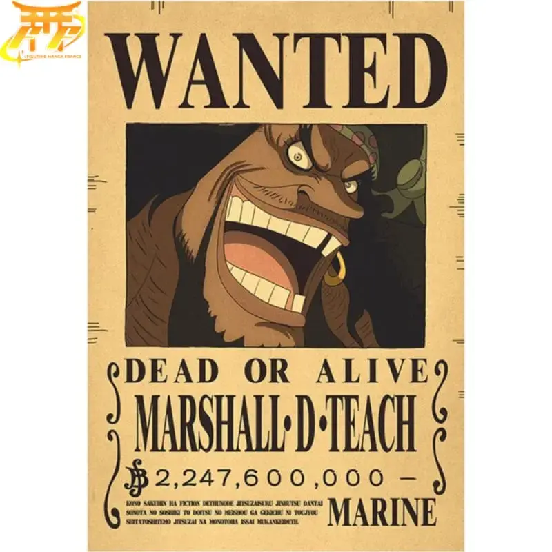 Blackbeard Wanted Poster – One Piece