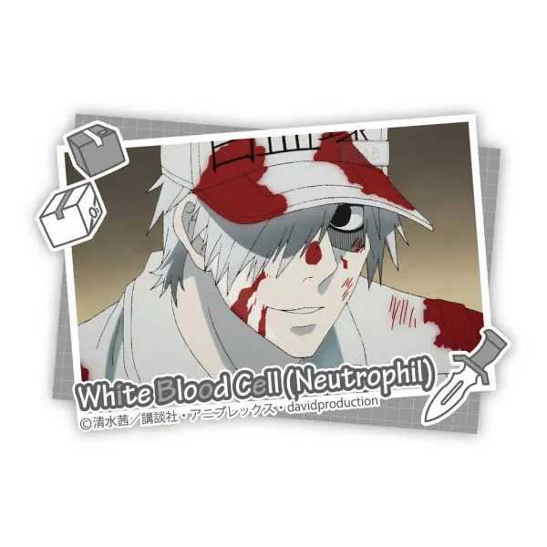 Cells at Work! Scene Photo Button White Blood Cell