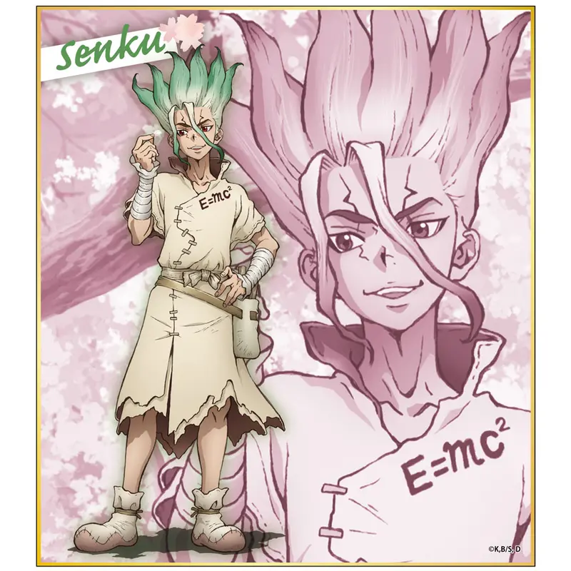 Dr. Stone Shikishi Senku Ishigami (B)