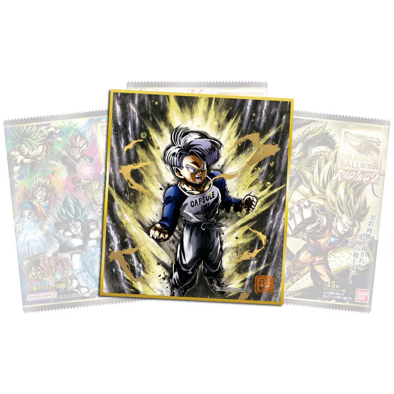 Dragon Ball Art Raging Vol. 2 Shikishi (3)