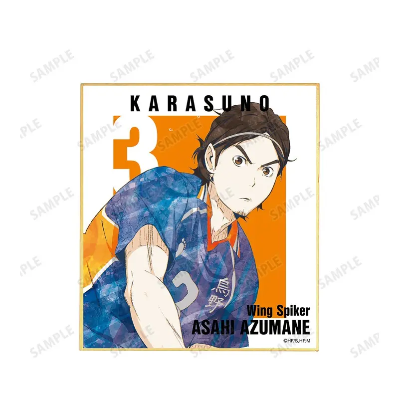 Haikyuu!! Ani-Art Vol. 3 Shikishi Asahi Azumane