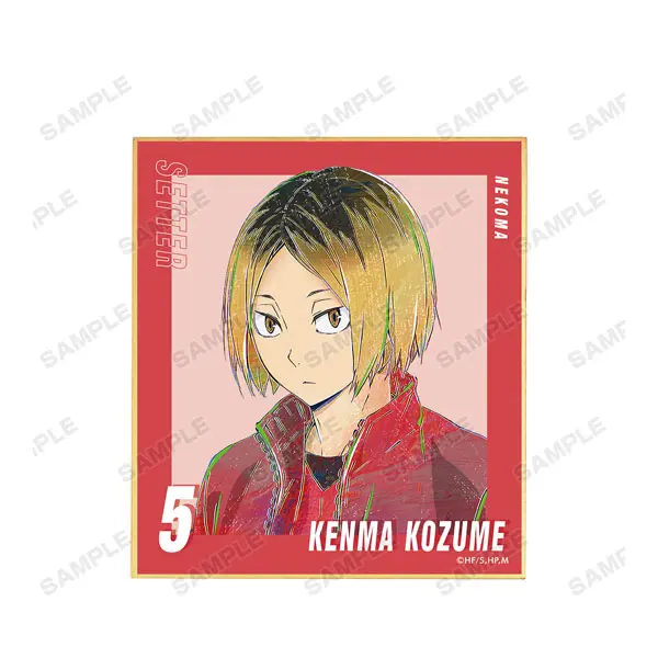 Haikyuu!! Ani-Art Vol. 5 Shikishi Kenma Kozume