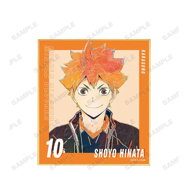 Haikyuu!! Ani-Art Vol. 5 Shikishi Shoyo Hinata