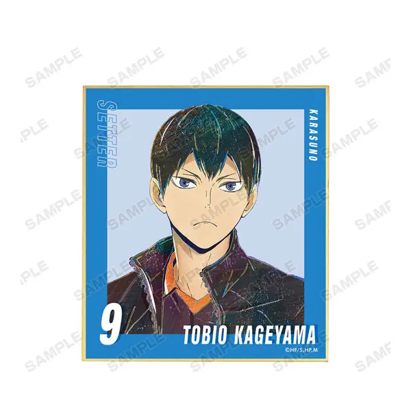 Haikyuu!! Ani-Art Vol. 5 Shikishi Tobio Kageyama