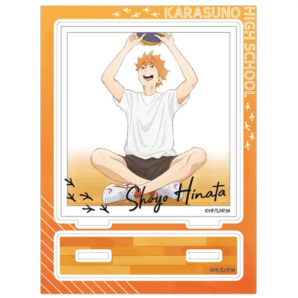 Haikyuu!! Aufsteller Shoyo Hinata