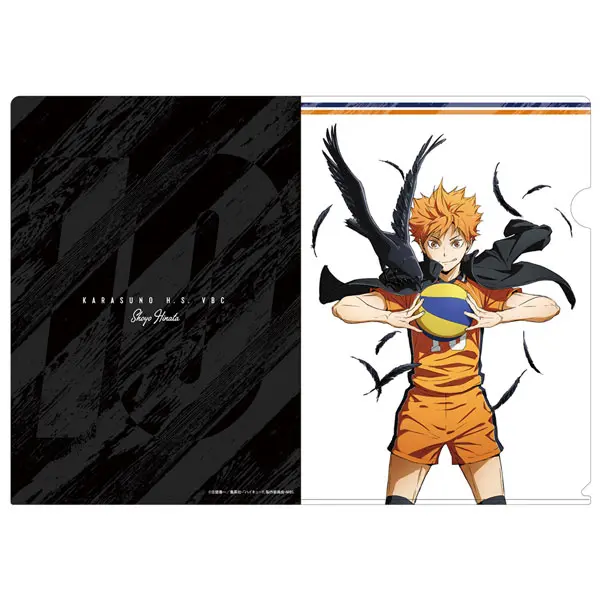 Haikyuu!! Clearfile Shoyo Hinata