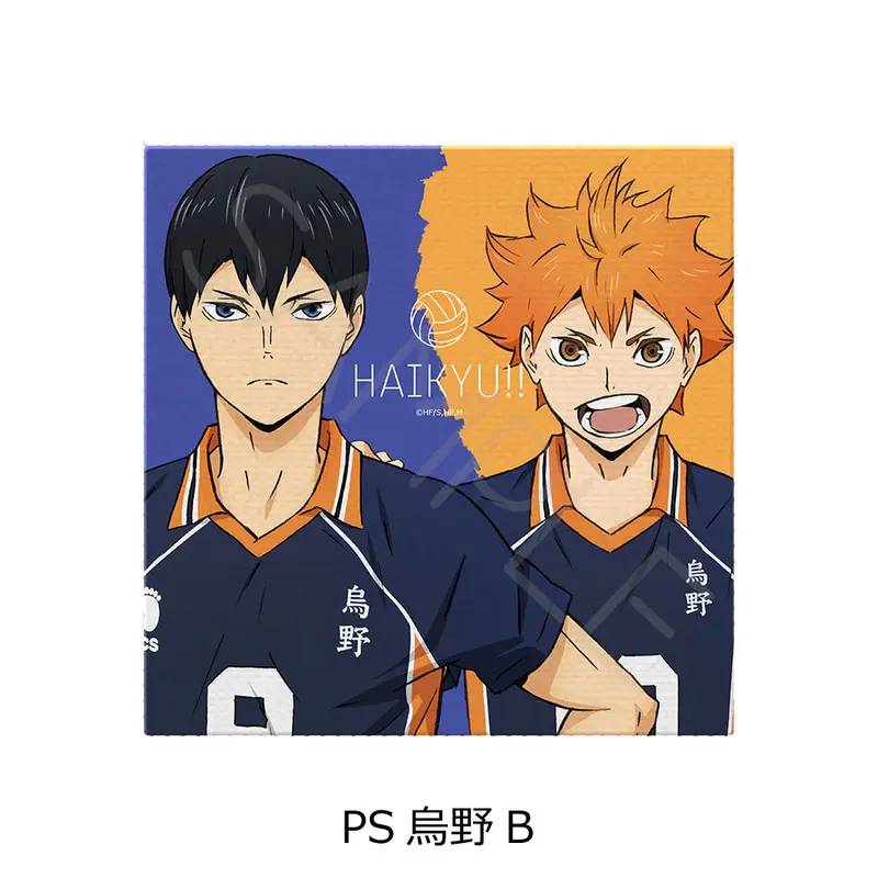 Haikyuu!! Handtuch Shoyo Hinata & Tobio Kageyama