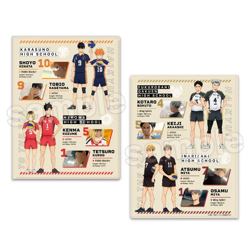 Haikyuu!! Hard Cover 6 Pockets Clearfile Group / Profile