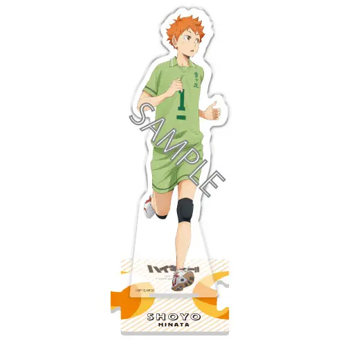 Haikyuu!! Memory Scene Aufsteller Shoyo Hinata