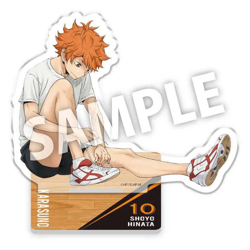 Haikyuu!! Preparation Whole Body Aufsteller Shoyo Hinata