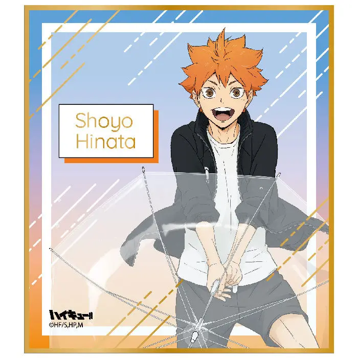 Haikyuu!! Rain Ver. Shikishi Shoyo Hinata