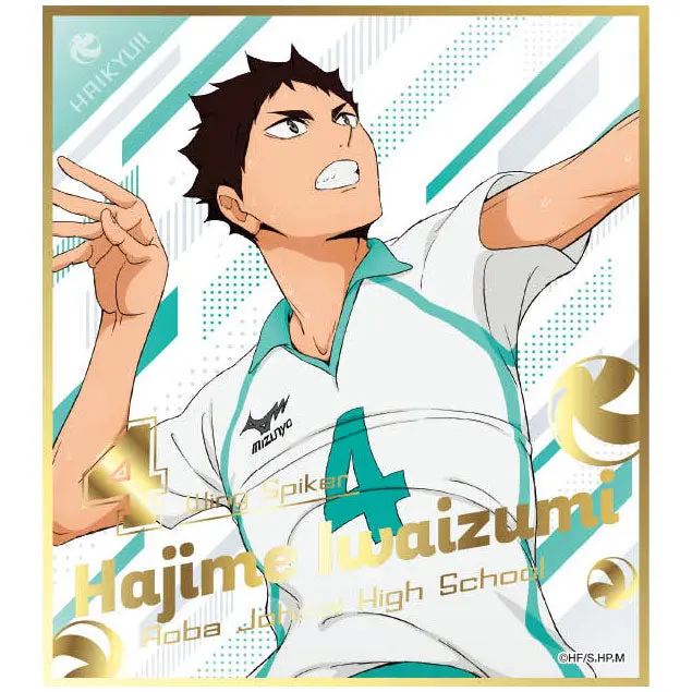Haikyuu!! Shikishi Vol. 5 Hajime Iwaizumi