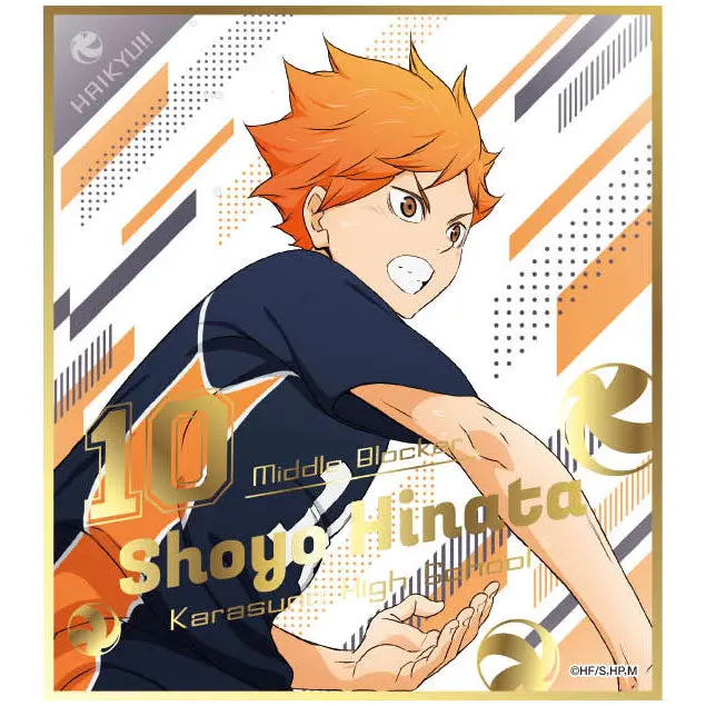 Haikyuu!! Shikishi Vol. 5 Shoyo Hinata