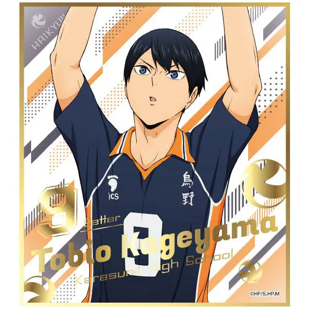 Haikyuu!! Shikishi Vol. 5 Tobio Kageyama