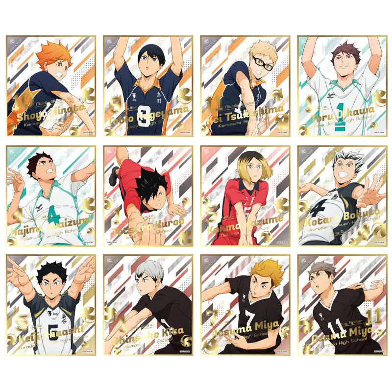 Haikyuu!! Shikishis Vol. 5 *12er Komplett-Set*