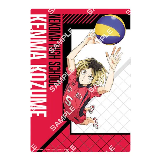 Haikyuu!! The Movie
