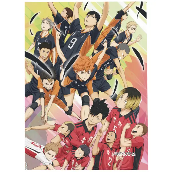 Haikyuu!! To The Top Canvas Anhänger Vol. 1 A
