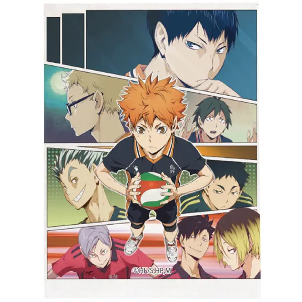 Haikyuu!! To The Top Canvas Anhänger Vol. 1 C