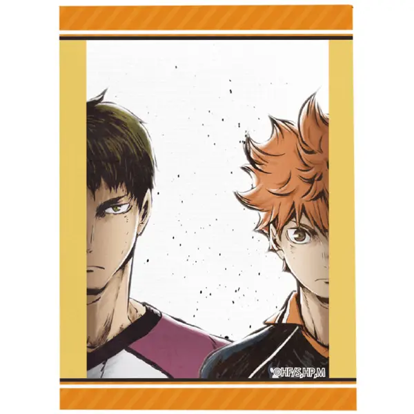 Haikyuu!! To The Top Canvas Anhänger Vol. 1 F Shoyo Hinata & Wakatoshi Ushijima