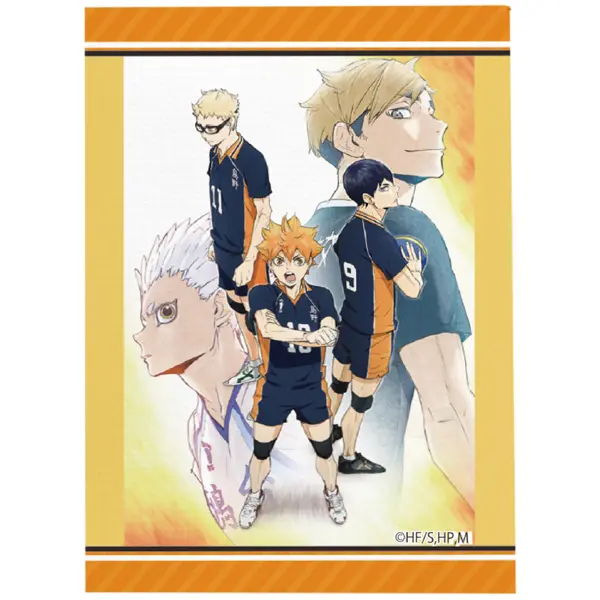 Haikyuu!! To The Top Canvas Anhänger Vol. 1 H