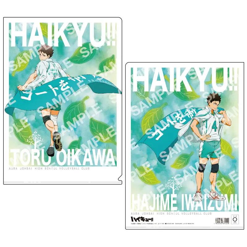 Haikyuu!! To The Top Clearfile Oikawa & Iwaizumi