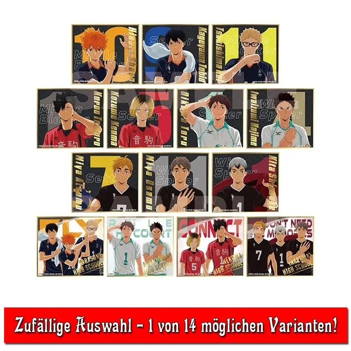 Haikyuu!! Visual Shikishi Vol. 8 *Blindbag*