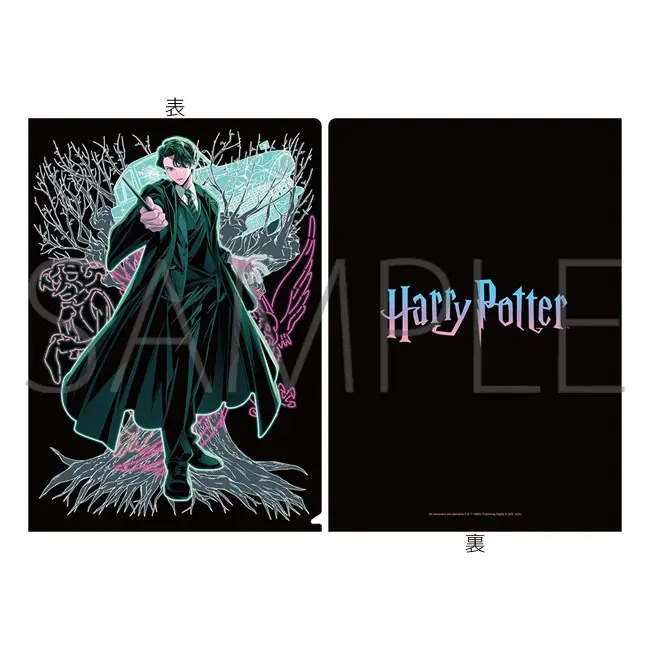 Harry Potter Clearfile - Tom Riddle - Animate Exclusive (DIN A4)