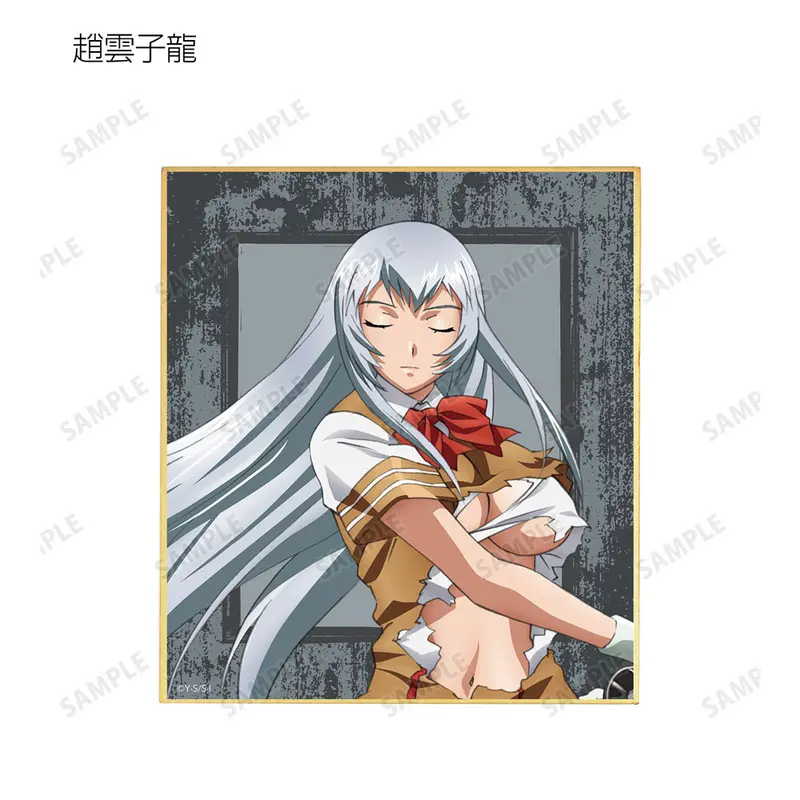 Ikki Tousen Shikishi Shiryuu Chou'un