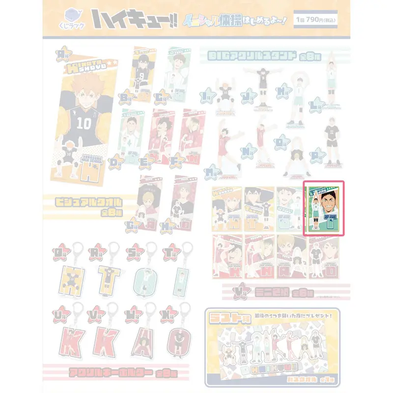 [Kuji] Haikyuu!! "I'm Going To Start Gymnastics!" Kuji Y-Prize Shikishi Hajime Iwaizumi