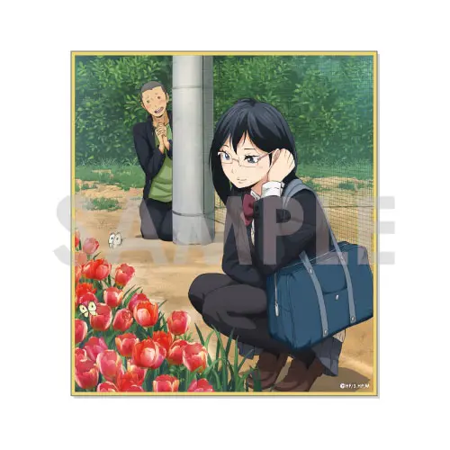 [Sofmap] Haikyuu!! After School Shikishi Ryunosuke Tanaka & Kiyoko Shimizu