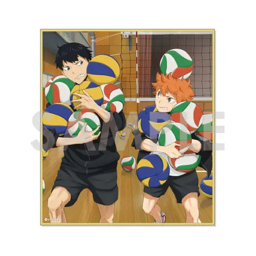[Sofmap] Haikyuu!! After School Shikishi Shoyo Hinata & Tobio Kageyama
