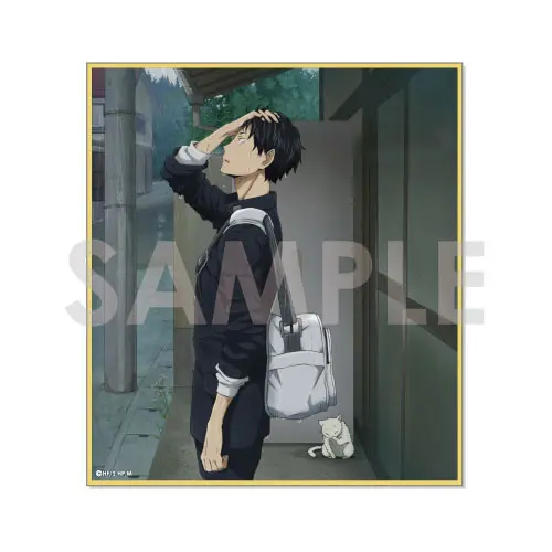 [Sofmap] Haikyuu!! After School Shikishi Tobio Kageyama