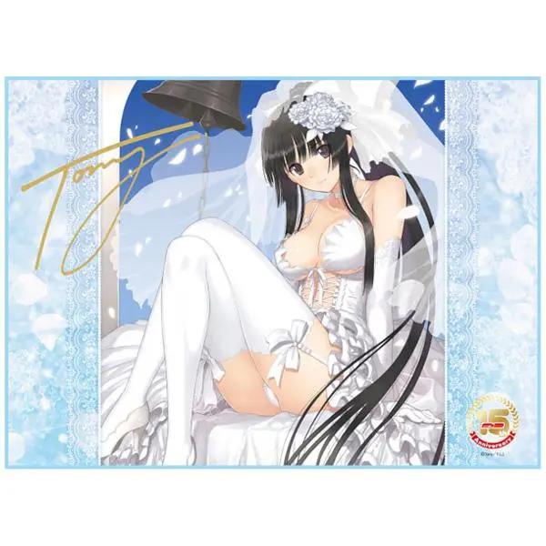 TCG Universal E2 15th Anniversary Unterlage Ver. C