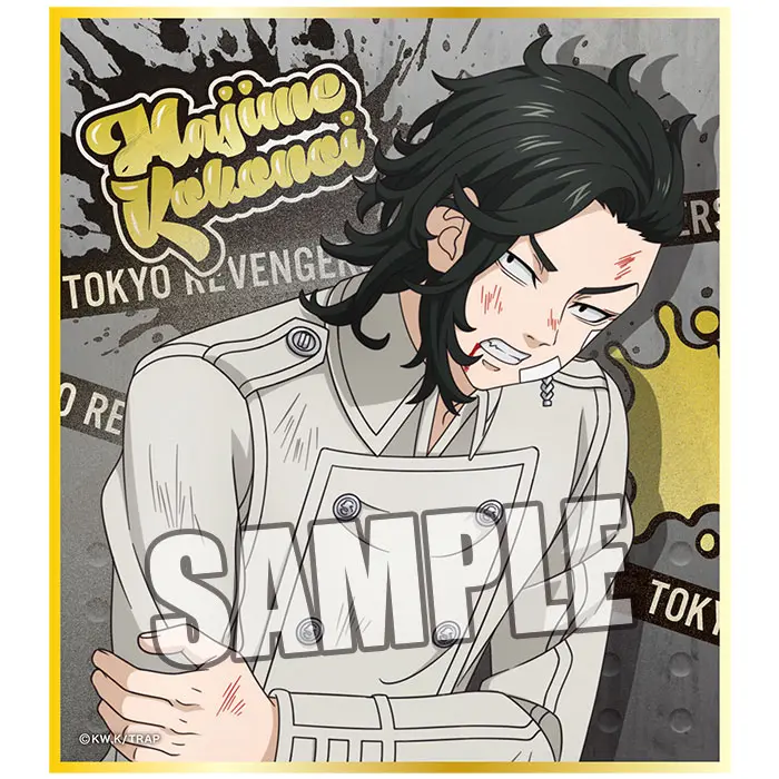 Tokyo Revengers Damage Version Shikishi Hajime Kokonoi