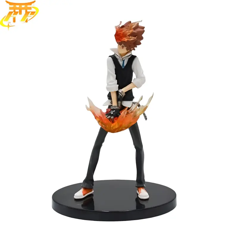 Tsunayoshi Sawada Figuren - Reborn
