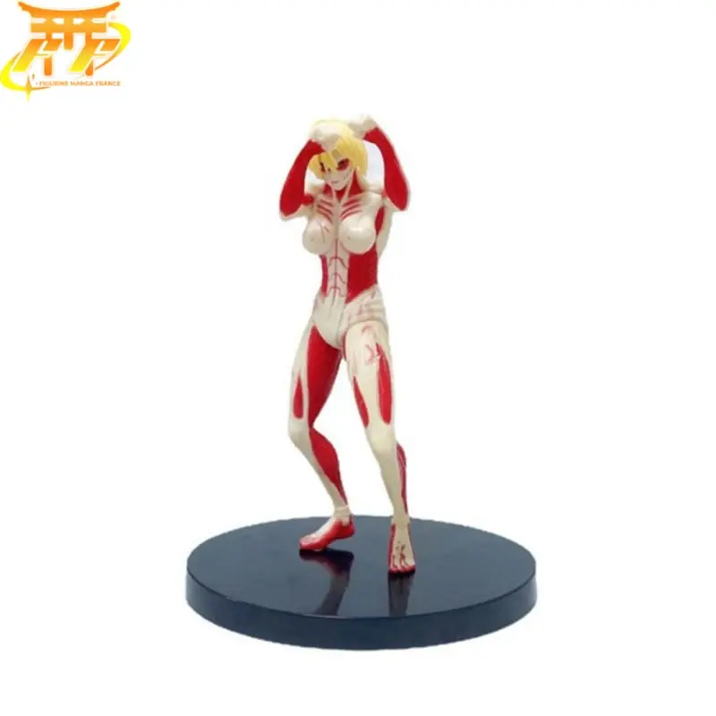 Weibliche Figuren - Attack on Titan